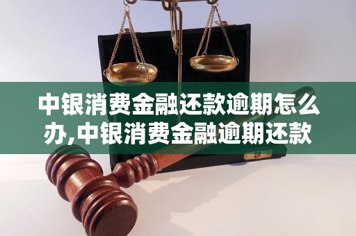 中银消费金融还款逾期怎么办,中银消费金融逾期还款应该注意什么