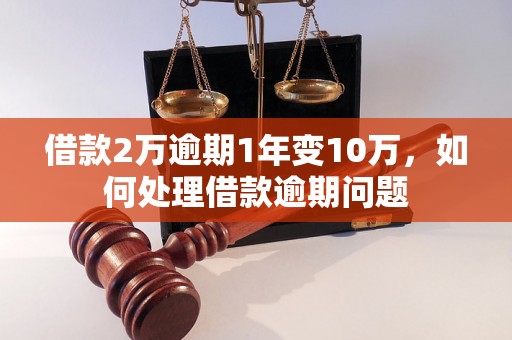 借款2万逾期1年变10万，如何处理借款逾期问题