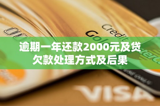 逾期一年还款2000元及贷欠款处理方式及后果