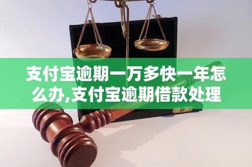 支付宝逾期一万多快一年怎么办,支付宝逾期借款处理方法