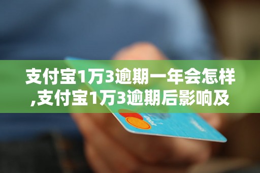 支付宝1万3逾期一年会怎样,支付宝1万3逾期后影响及解决方法