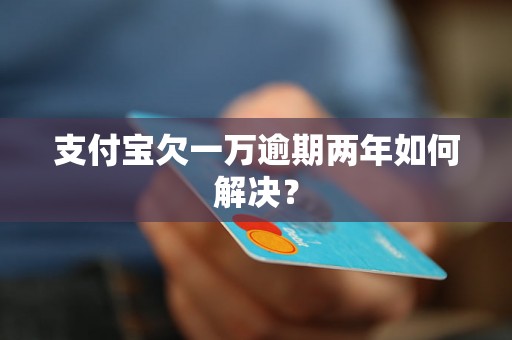 支付宝欠一万逾期两年如何解决？