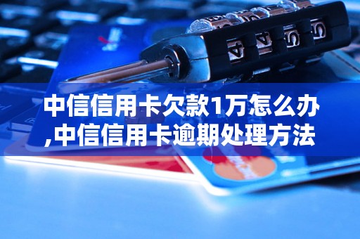 中信信用卡欠款1万怎么办,中信信用卡逾期处理方法