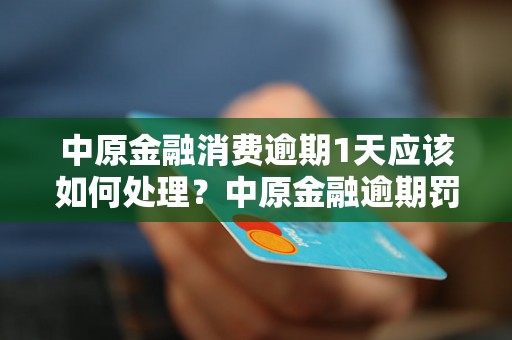 中原金融消费逾期1天应该如何处理？中原金融逾期罚息计算规则