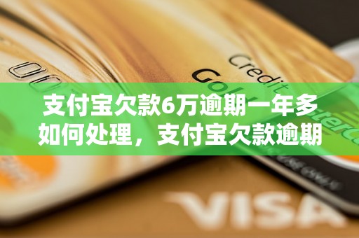 支付宝欠款6万逾期一年多如何处理，支付宝欠款逾期案例分析