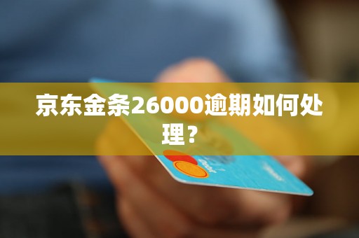 京东金条26000逾期如何处理？