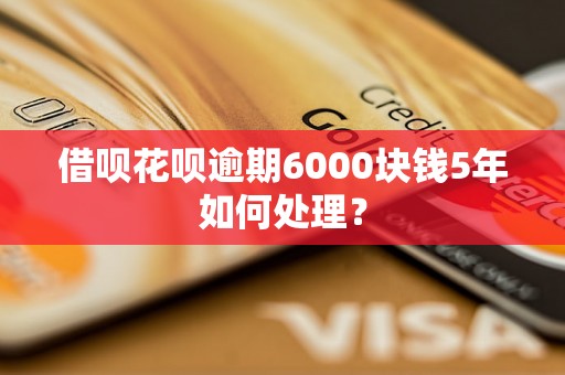 借呗花呗逾期6000块钱5年如何处理？