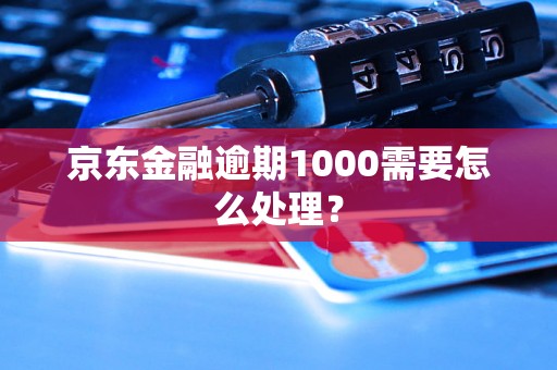 京东金融逾期1000需要怎么处理？