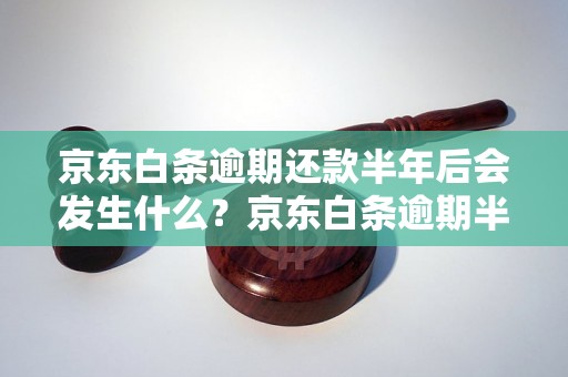 京东白条逾期还款半年后会发生什么？京东白条逾期半年后的处罚措施