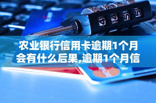 农业银行信用卡逾期1个月会有什么后果,逾期1个月信用卡处理方式