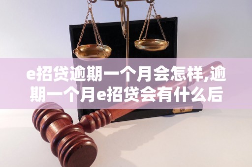 e招贷逾期一个月会怎样,逾期一个月e招贷会有什么后果