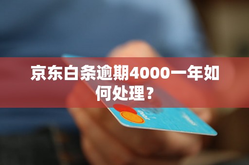 京东白条逾期4000一年如何处理？