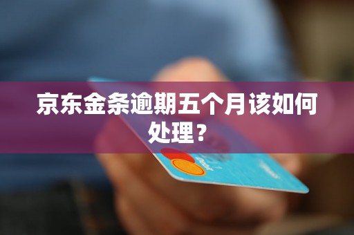 京东金条逾期五个月该如何处理？