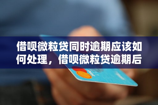 借呗微粒贷同时逾期应该如何处理，借呗微粒贷逾期后果及解决方法