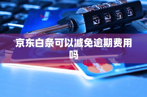 京东白条可以减免逾期费用吗