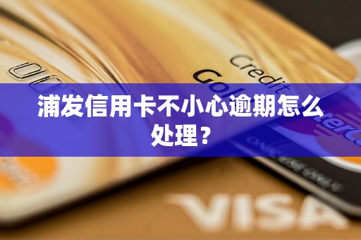 浦发信用卡不小心逾期怎么处理？