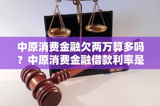 中原消费金融欠两万算多吗？中原消费金融借款利率是多少？