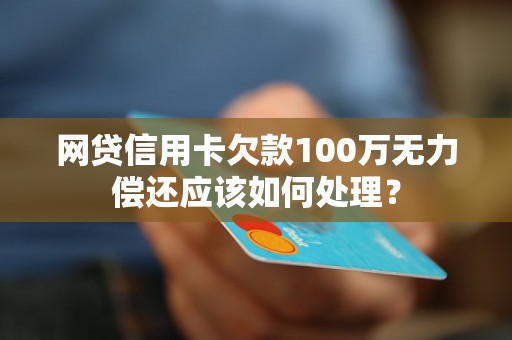 网贷信用卡欠款100万无力偿还应该如何处理？