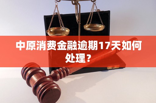 中原消费金融逾期17天如何处理？