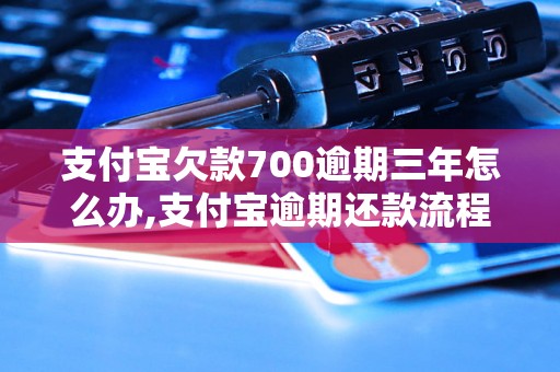 支付宝欠款700逾期三年怎么办,支付宝逾期还款流程详解