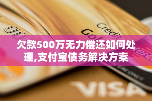 欠款500万无力偿还如何处理,支付宝债务解决方案