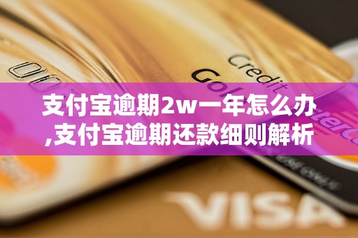 支付宝逾期2w一年怎么办,支付宝逾期还款细则解析