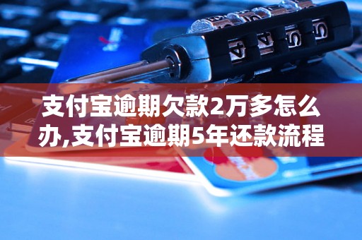 支付宝逾期欠款2万多怎么办,支付宝逾期5年还款流程详解