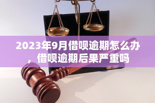 2023年9月借呗逾期怎么办，借呗逾期后果严重吗