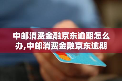 中邮消费金融京东逾期怎么办,中邮消费金融京东逾期处理流程解析