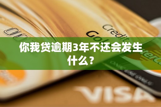 你我贷逾期3年不还会发生什么？