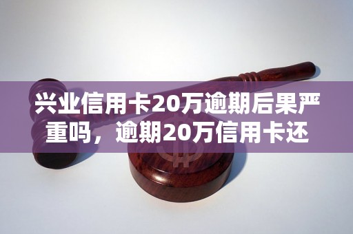 兴业信用卡20万逾期后果严重吗，逾期20万信用卡还款攻略