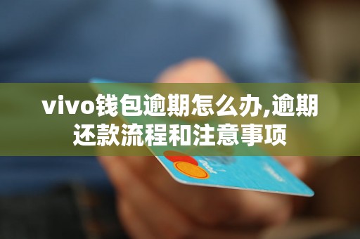 vivo钱包逾期怎么办,逾期还款流程和注意事项