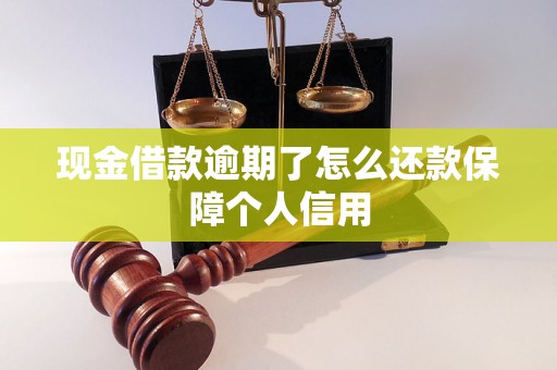 现金借款逾期了怎么还款保障个人信用