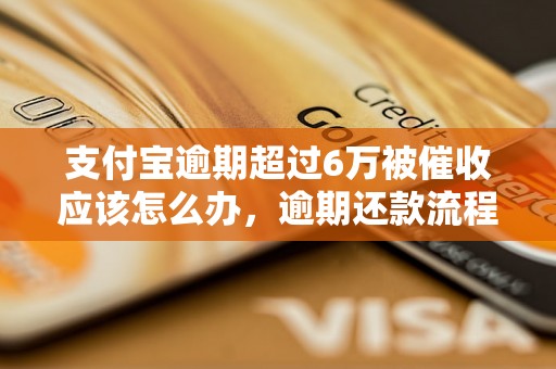 支付宝逾期超过6万被催收应该怎么办，逾期还款流程和注意事项