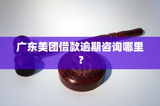 广东美团借款逾期咨询哪里？