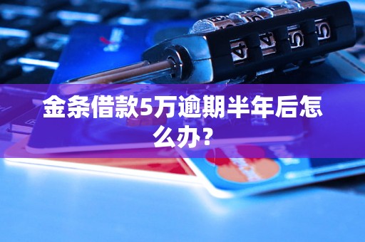 金条借款5万逾期半年后怎么办？