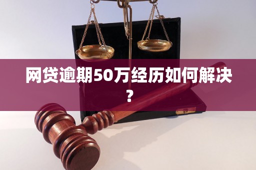 网贷逾期50万经历如何解决？