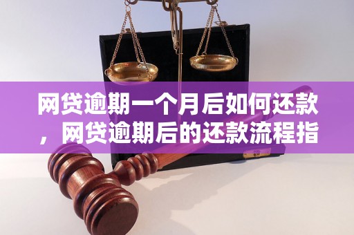 网贷逾期一个月后如何还款，网贷逾期后的还款流程指南