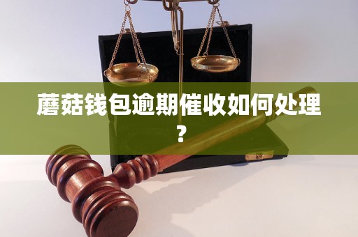 蘑菇钱包逾期催收如何处理？