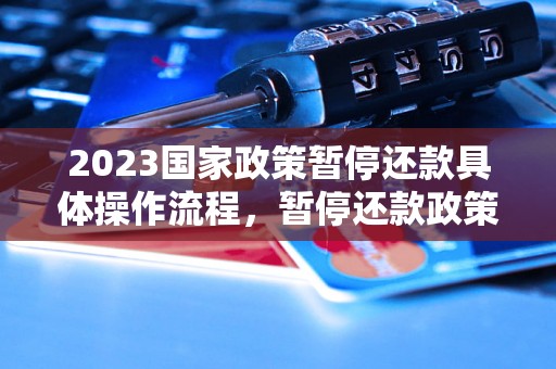 2023国家政策暂停还款具体操作流程，暂停还款政策解读