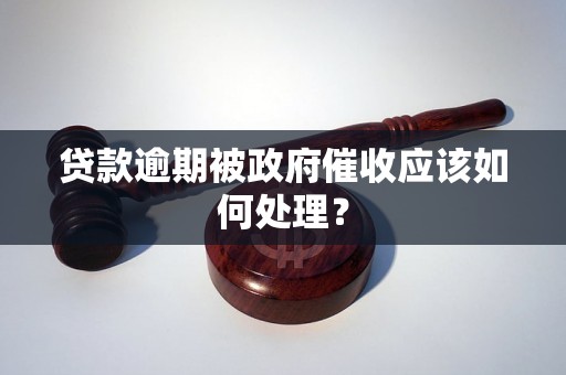 贷款逾期被政府催收应该如何处理？