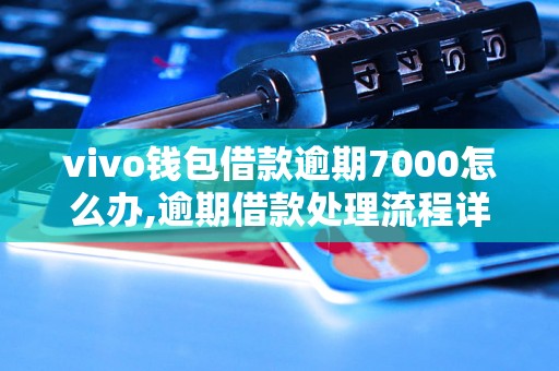 vivo钱包借款逾期7000怎么办,逾期借款处理流程详解