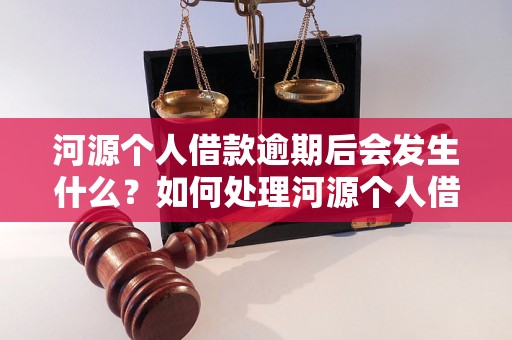 河源个人借款逾期后会发生什么？如何处理河源个人借款逾期问题？