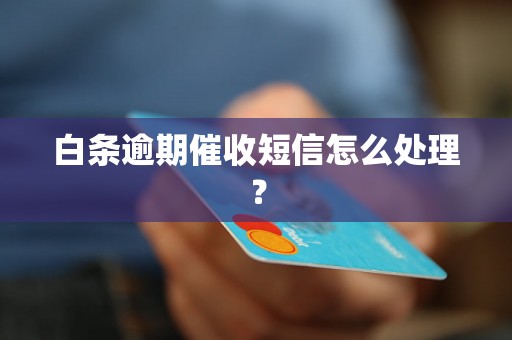 白条逾期催收短信怎么处理？