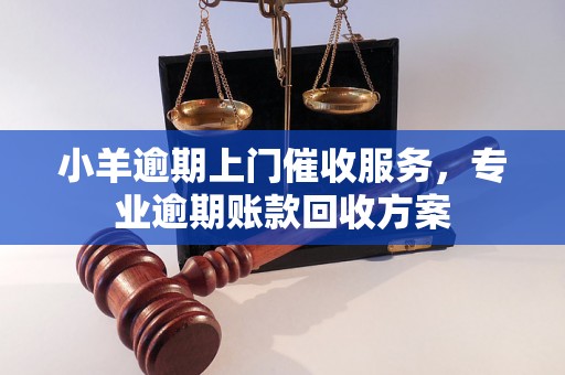 小羊逾期上门催收服务，专业逾期账款回收方案