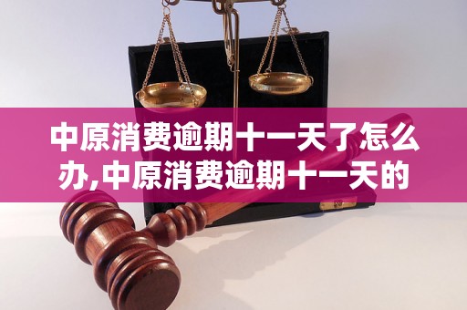 中原消费逾期十一天了怎么办,中原消费逾期十一天的后果及解决方法