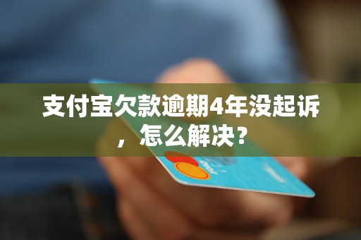 支付宝欠款逾期4年没起诉，怎么解决？