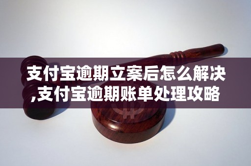 支付宝逾期立案后怎么解决,支付宝逾期账单处理攻略