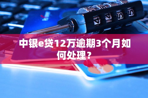 中银e贷12万逾期3个月如何处理？