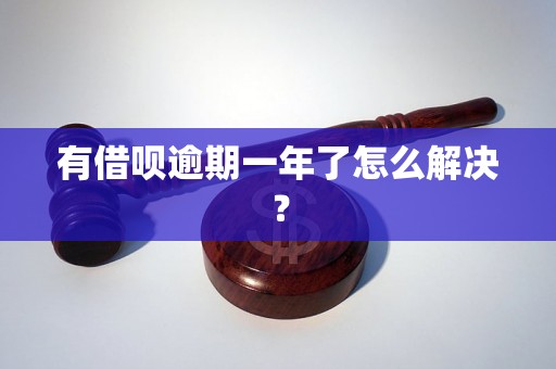 有借呗逾期一年了怎么解决？